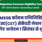 RSMSSB Rajasthan CET 2024: सेकेंडरी लेवल के लिए आवेदन 1 सितंबर से शुरू